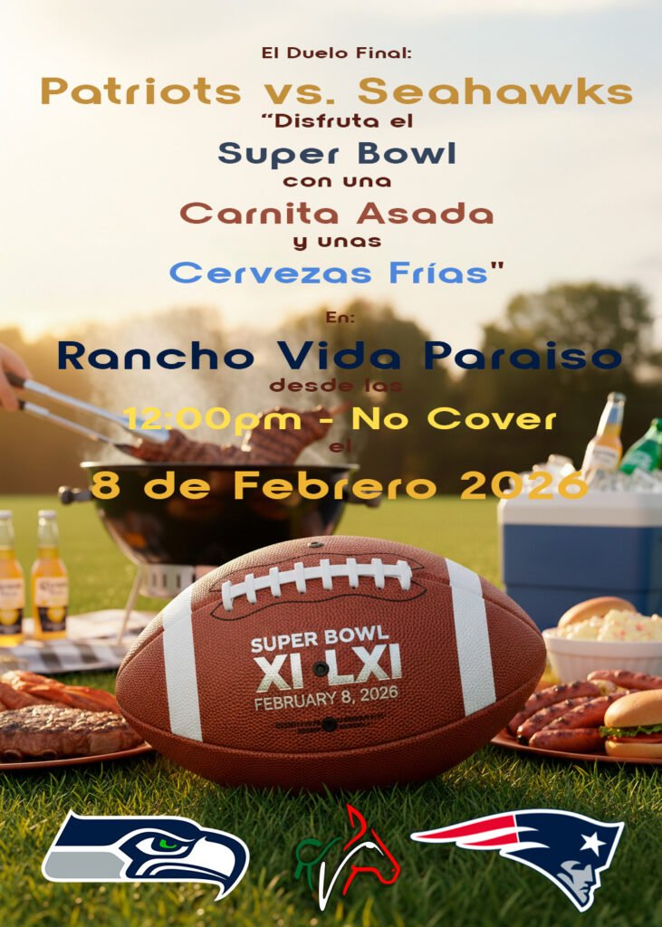 Superbowl RVP 26